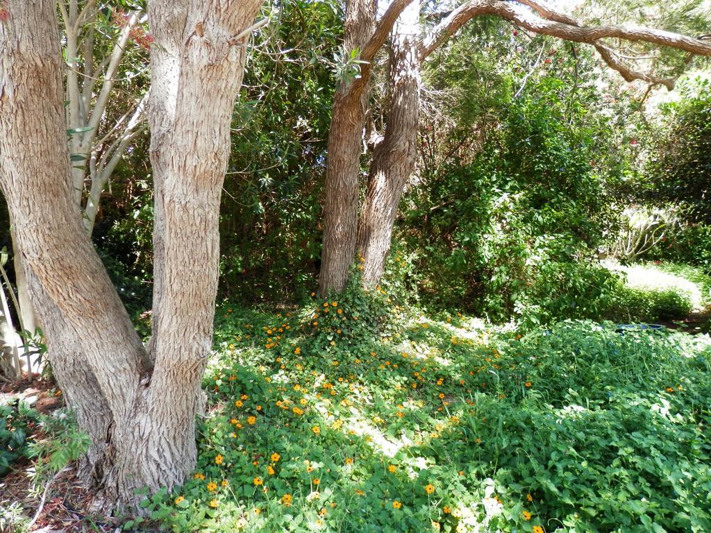 The Hideaway Luxury B&B Retreat Armadale Exterior photo